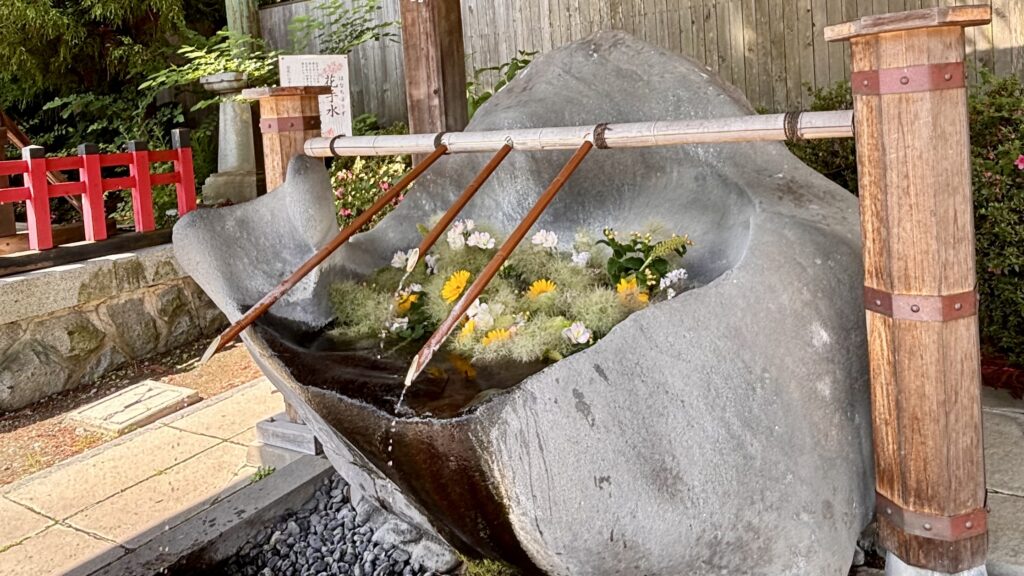 盛岡天満宮の手水舎に敷き詰められた、季節の美しい花々（花手水）